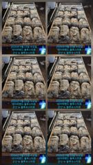 26시즌 9월 23일 군산 뉴 블루스타호 쭈꾸미 출조 기본 마릿수 현지 조황. 200수... 사진