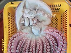 공현진 창명호,뉴창명호 대구,무늬오징어낚시 선비:6만원 사진