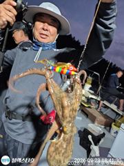 아따~야문 실시간~여기저기 히트히트 사진
