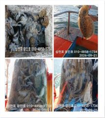 [사천] 왕쭈꾸 장원200수{평일,할인}27일 자리여유 예약중