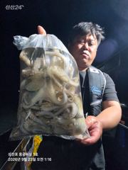 광어조황 글만 보기 사진