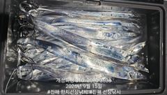 [진해] 준내만 4지급 텐빈 은빛 갈치 대박 쿨러 가득 조황!! 내일자리… 사진