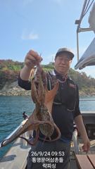 1   [통영] 문어(핫~실시간) 700g이상 키로급 키로오버속출~락피싱(오늘 … 1 사진