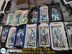 내만칼치ㅡ피딩,피딩! 쿨러넘쳐 씨알.마릿수 초대박입니다(목/금/토/일/예약가능) 사진