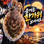 [팀바이트호] 9월24일 갑오징어 낚시 사진