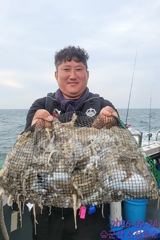 9월24일 군산 신성호 쭈꾸미 조황입니다 사진
