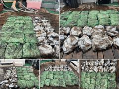 제우스호 글만 보기 사진