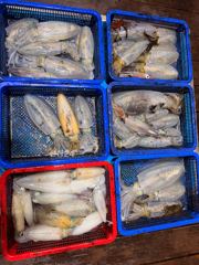 9월14일~23일 조황입니다