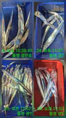 [통영] 추석입항 갈치조항 사진