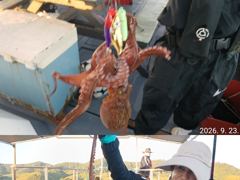 "" 돌문어 "" 내일나갑니다.(내일예약가능) 사진