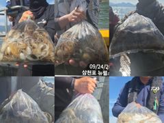 뉴펄스호 삼천포 쭈꾸미 핫해요~~ 사진