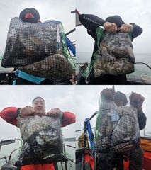 쭈꾸미갑오징어대박!!갑오징어만90수오바~~~~~~ 사진