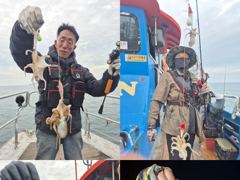 <크라운호> 쭈꾸미 종일 마무리 굿 조황(25일)-내일 쭈꾸미 종일/오전 자리있습니다 사진