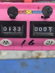 9월25일 조황입니다 사진