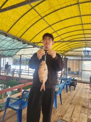 9.25 성호좌대 조황소식 사진