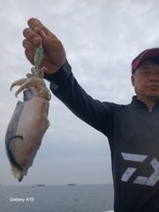 [쭈갑조황] 9월 25일 블랙홀2호(8분출조)대박 조황입니다 사진