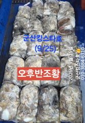 군산킹스타호(9/25반일반) 쭈꾸미 굿~마무리조황