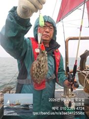 26일, 비는와도~군산주꾸미~갑이랑 잘 나오네요~실시간~군산낚시프라자 하이원호 사진