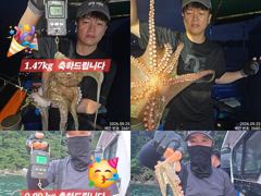 25일 오늘도 계속해서 올라와 잡고온 Kg급및 굵직한 야간~돌문어 마리수 잡으러 출조 갑니다@ 일,월,화요일~몇 자리 예약가능