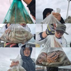 [사천] 26일)문어 키로키로 마리수 조황 씨알좋습니다. 27일)잔여자리… 사진