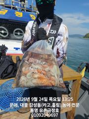 통영 금정호 내일 오전문어 자리여유있습니다 사진