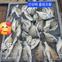 [고성] 병산 감성돔37외 마리수 농어 선상배 및 선외기 흘림조황~~ 사진