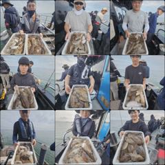 먹물 글만 보기