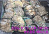 먹물조황 글만 보기 사진