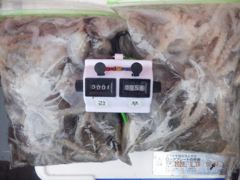 [여수,광양] 26일 최저가왕쭈 악천우속대박 132수가왕쭈개인장원,,성산1호도…
