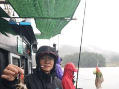 [사천] 왕쭈꾸미 조황입니다