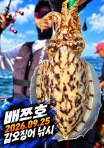 [배쯔호] 9월26일 갑오징어 낚시 사진