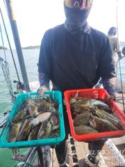 내일 갑오징어 14분예약중 6자리여유 출조확정 입니다