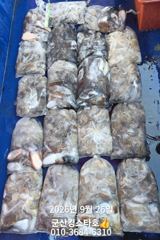 군산킹스타호(9/26)쭈꾸미 마무리조황(내일여유자리 있어요~)