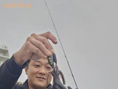 무늬 사이즈 마릿수 굿굿!!