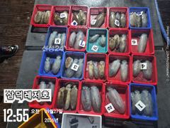 [팁런] 갈도 ~욕지,무시,고구마들(일요일,소수인원,출항확정)