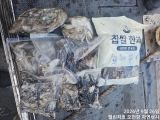 주말 쭈갑출조 다녀왔습니다