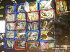 [포항] 24일 야간 조황