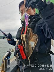[사천] 삼천포 아수라피싱 주꾸미 조황