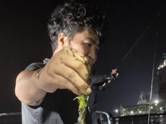 문이조항
