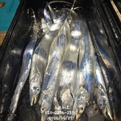 [마산] 왕갈치 풍성한 조황 자리여유 있어요^^