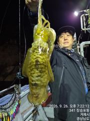 [진해] 무늬오징어 팁런 이젠 씨알이 묵찍 합니다 ᆢ 오늘 5자리 가능.…