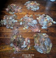 (문어)연일 초~대박 장원 33수 세 자릿수는 우습게~강민호(28일 예약)