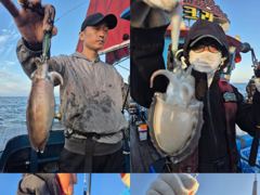 <크라운호> 갑오징어 실시간 조황(27일)