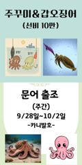 [군산] 군산. 대한낚시. 광어. 연속. 15번째. 세자리수. 조황.