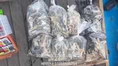 [사천] (주꾸미)물 빨라도 OK 장원 70수 삼천포 소식~로마피싱(28…