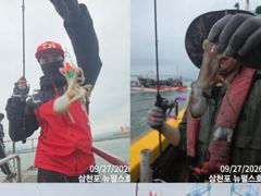삼천포 뉴펄스호 쭈꾸미 호황 평일11시 주말휴일 종일