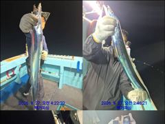 통영백가피싱) 간밤 먼바다 왕갈치 조황 입니다.