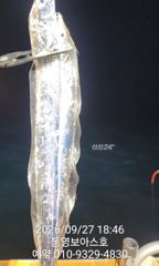 지금 보아스호 핫 하네