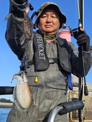 9월27일8물사리물에도갑오징어+쭈꾸미쌍걸이로망태기빵빵한조황요~(29일30일갑오징어위주쭈꾸미병행정상출조여유자리.)갑오징어잘~나옵니다.