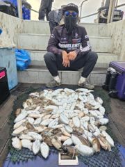 2026년9월27일 오천항범블비호 갑오징어출조 대박조황■■장원173갑.153갑등 총10분■■